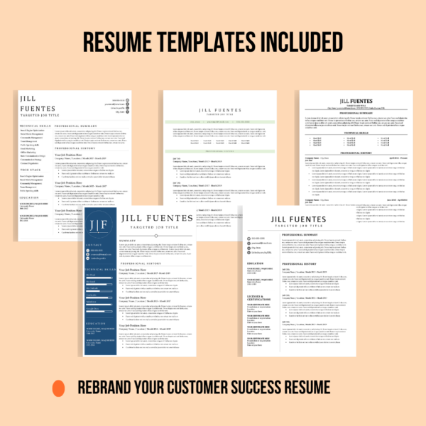 Customer Success Plug & Play Resume - Image 5