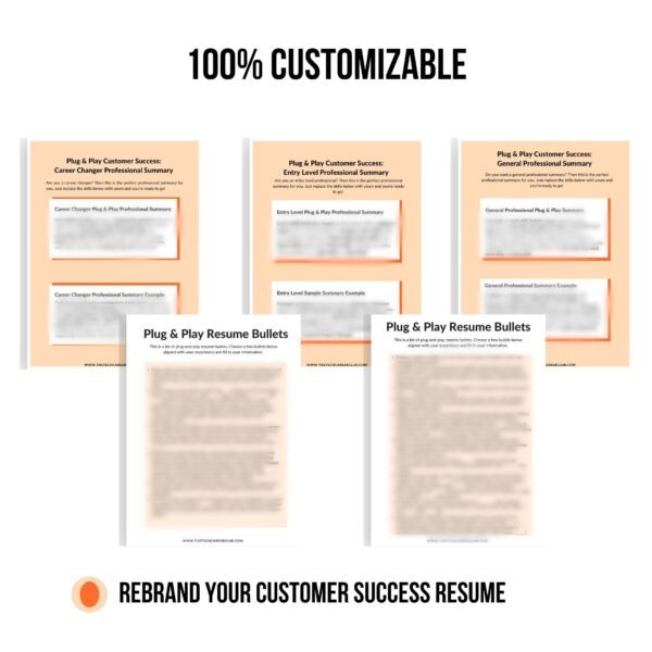 Customer Success Plug & Play Resume - Image 3